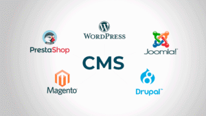 Qué es un cms y tipos